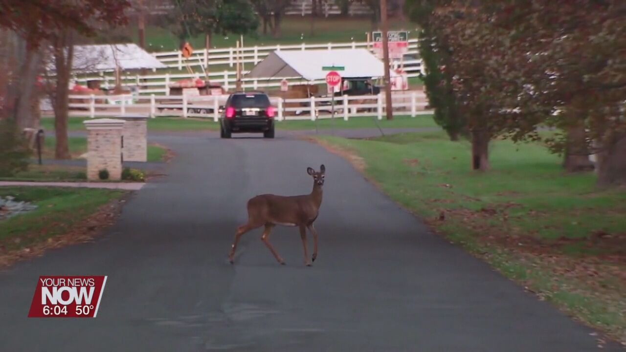 Residents urged to practice caution as an increase is expected in deer-related crashes